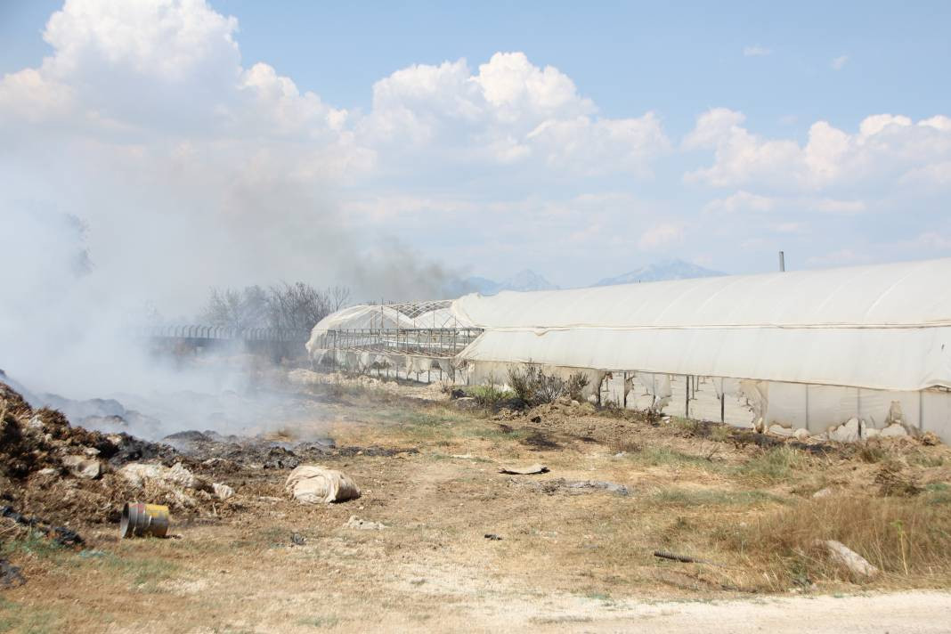 Otluk alanda başladı orman ve seralara sıçradı - Resim: 20